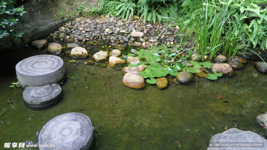 小溪石