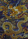 金龙
