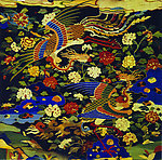 凤凰花图