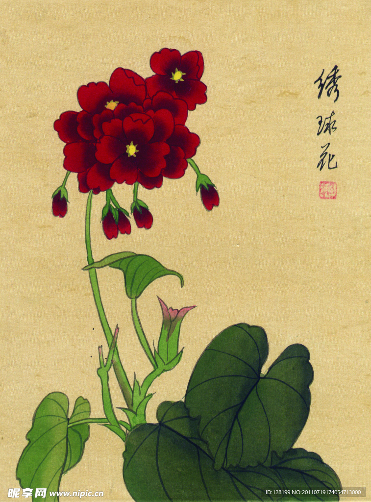 绣球花