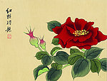 国画 花