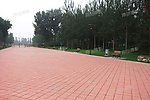红砖地面