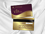会员卡 VIP 贵宾卡