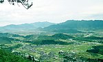 绿色鹿原