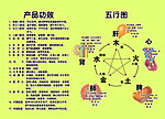 五行图