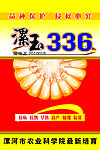漯玉336