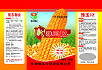 新雅玉包装