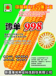 豫单998