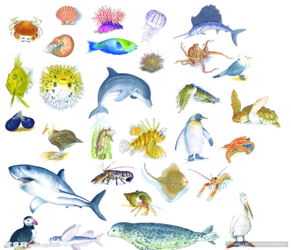 水生物