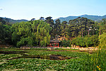 绿色山水