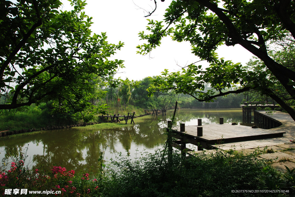 杭州之西溪湿地