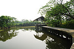 杭州之西溪湿地