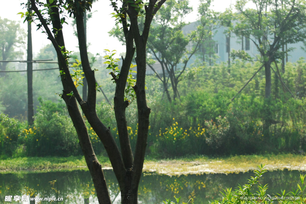 杭州之西溪湿地