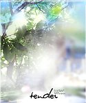 婚纱照模板
