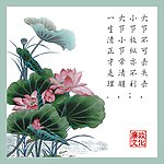 荷花图