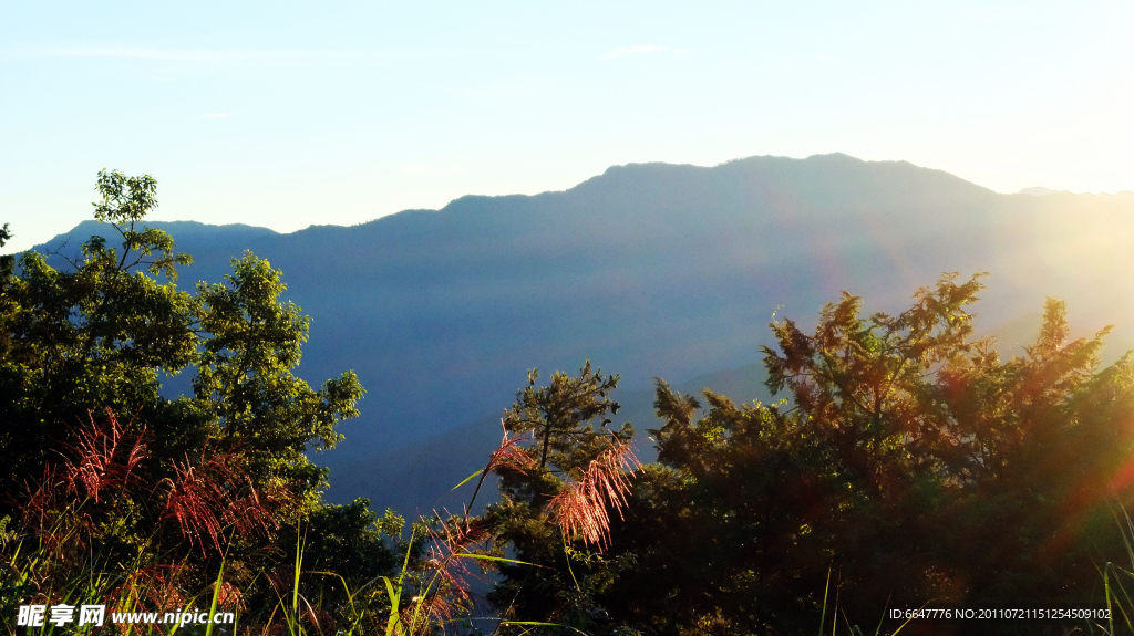 阿里山日出