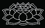 莲花