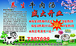养生牛肉汤