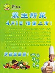 养生新菜