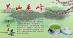黄山毛峰
