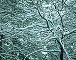 雪景