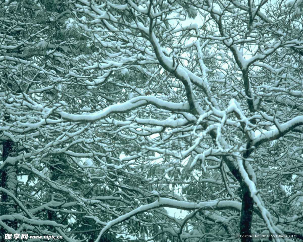 雪景