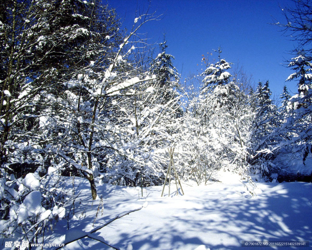 雪景