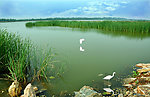 潘安湖湿地