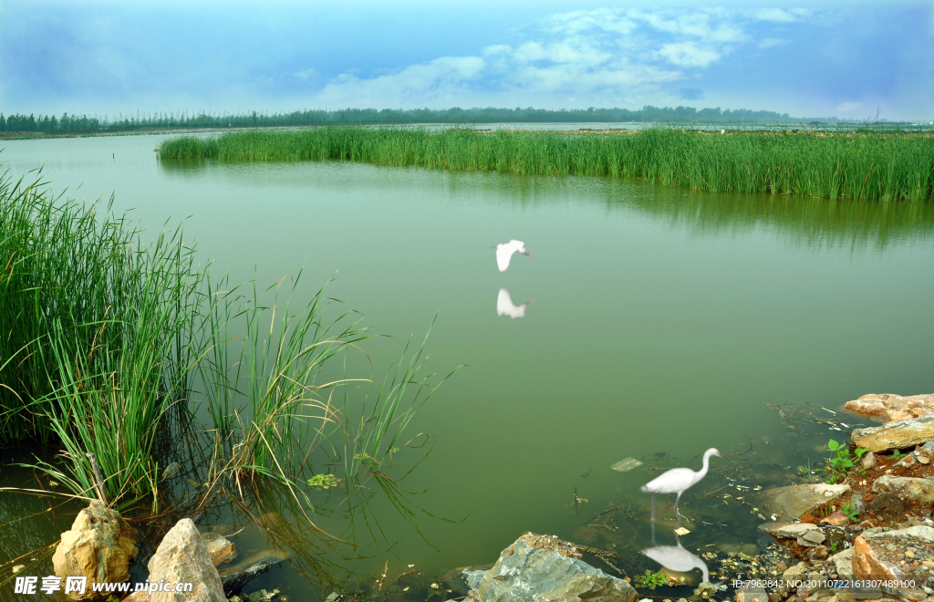 潘安湖湿地