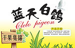 蓝天白鸽