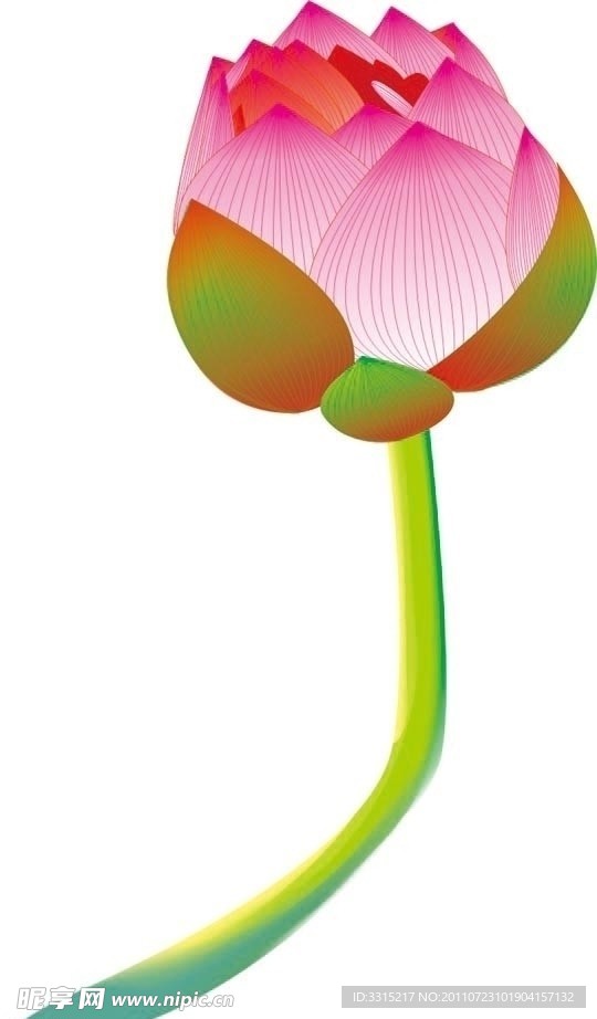 小荷