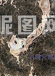 金蝴蝶 大理石