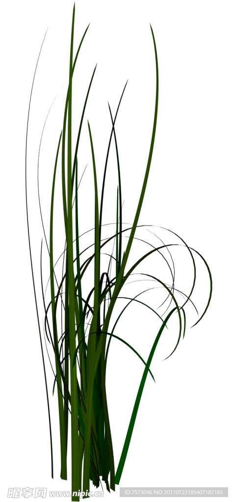 水草