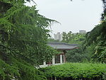 公园一角