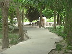小路