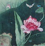 国画荷花