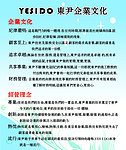 企业文化