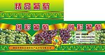 葡萄纸箱包装