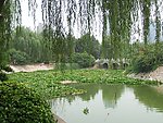 郑州紫荆山公园