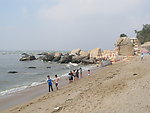 海岸沙滩