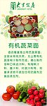 蔬菜面展架