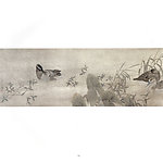 野鸭