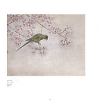 樱花鹦鹉