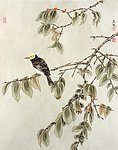 马为超工笔花鸟画之白头翁