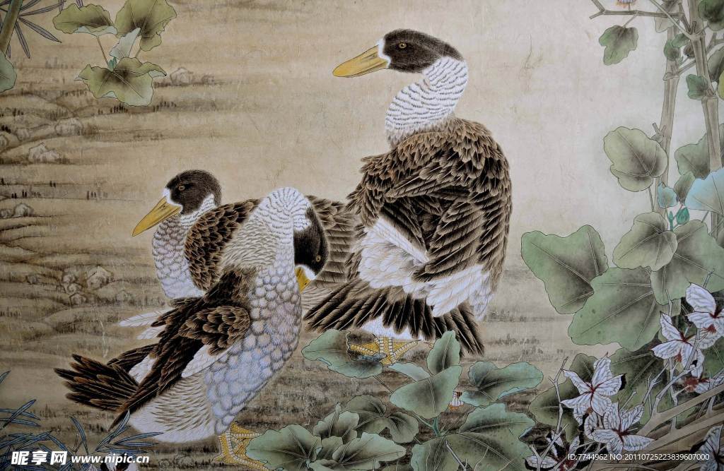 马为超工笔花鸟画之大白鹅