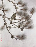 马为超工笔花鸟画之白头松树
