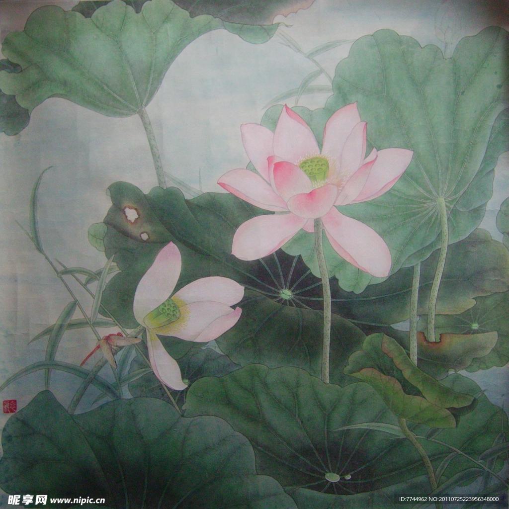 工笔粉荷花蜻蜓图