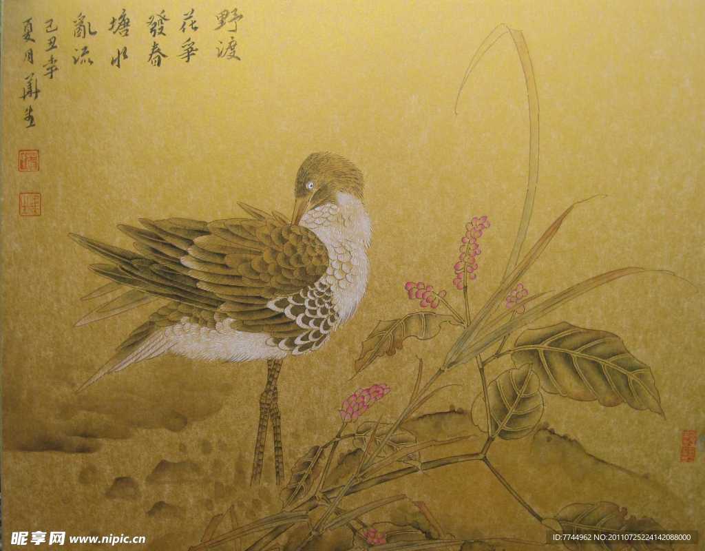 工笔花鸟 水鸟 水草图