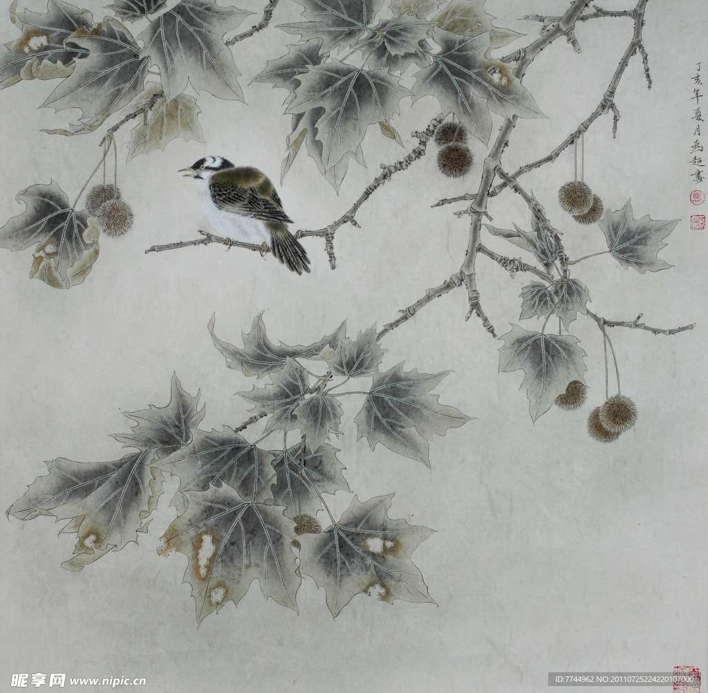 马为超工笔花鸟画之蓖麻白头图