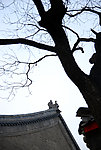 秋景